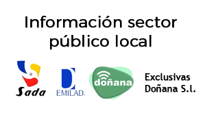 info sector público local
