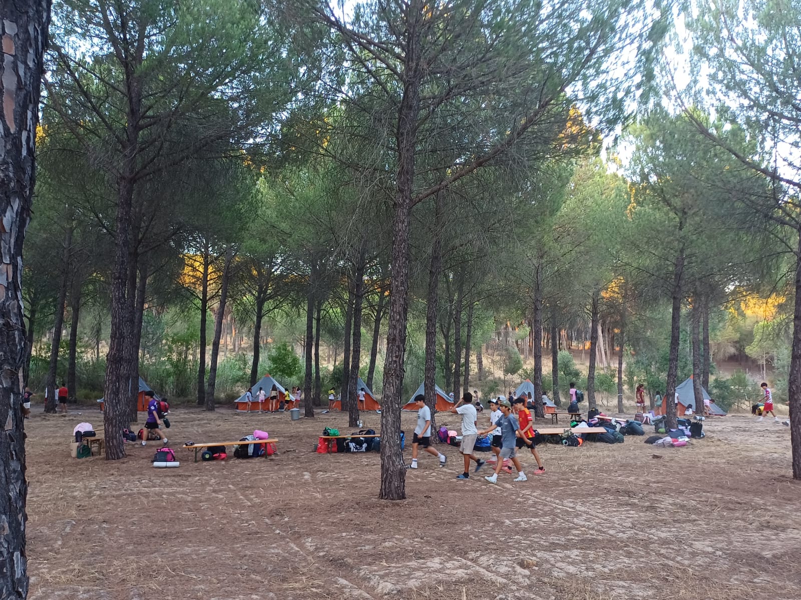 Almonte impulsa la conciencia  ambiental juvenil con los primeros campamentos "Interacciona y Convive con Doñana" en el Museo Forestal