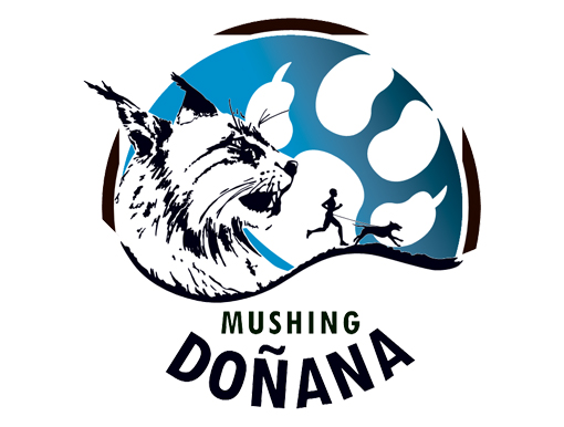 Imagen Mushing Doñana