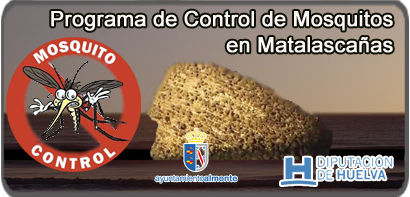 icono programa control antimosquitos matalascañas 2015