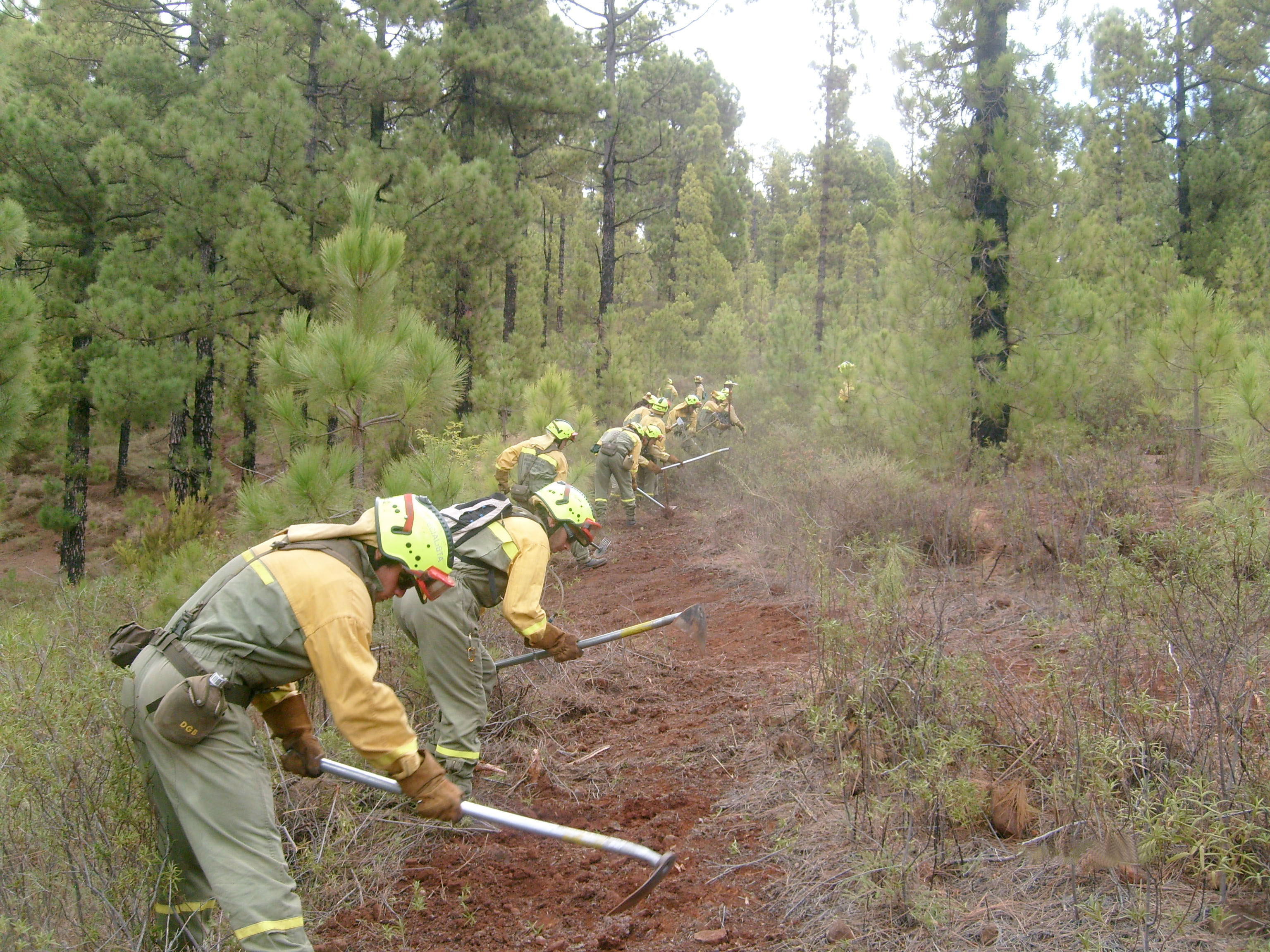 img-bando-prevencion-incendios