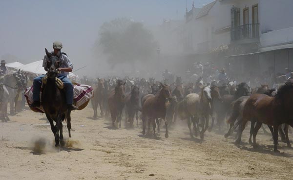 Fiestas-Saca-de-yeguas3