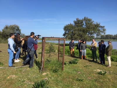 Finca cedida a asociación ganado marismeño 2