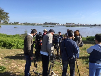 Finca cedida a asociación ganado marismeño 3