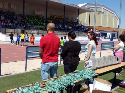 Olimpiadas escolares 2