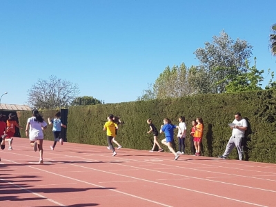 Olimpiadas escolares 7