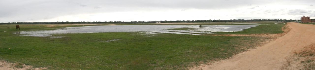 Proyecto circunvalación 1