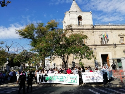 121055081_3470319806395596_3937359363530220261_o