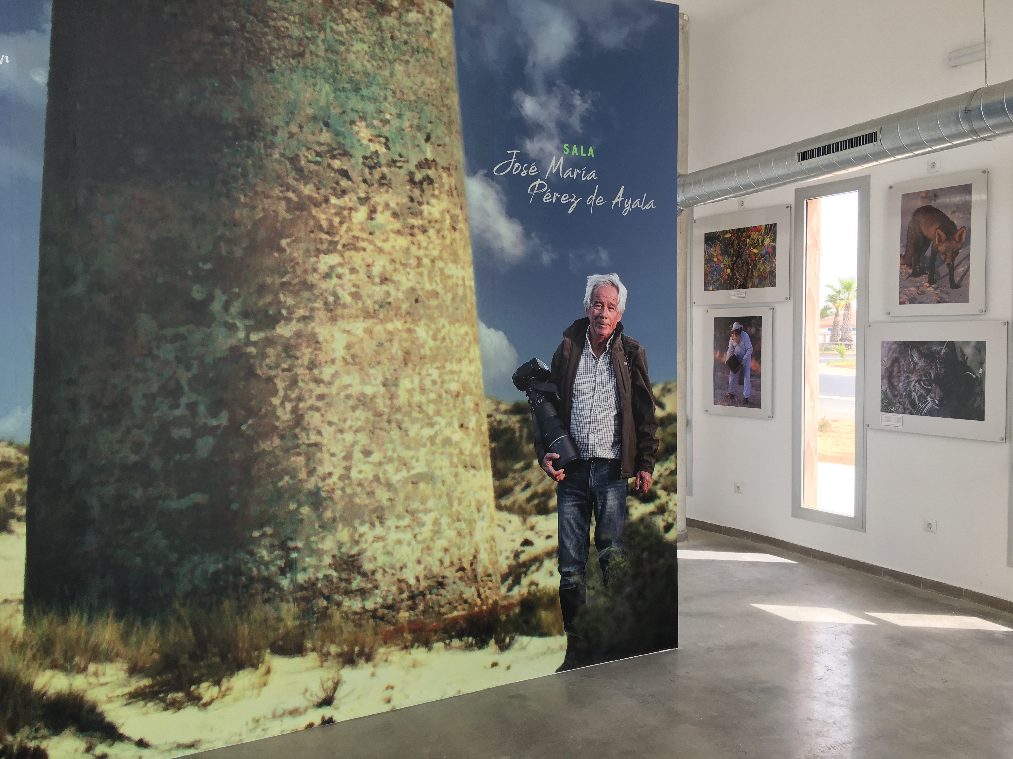 José María Pérez de Ayala