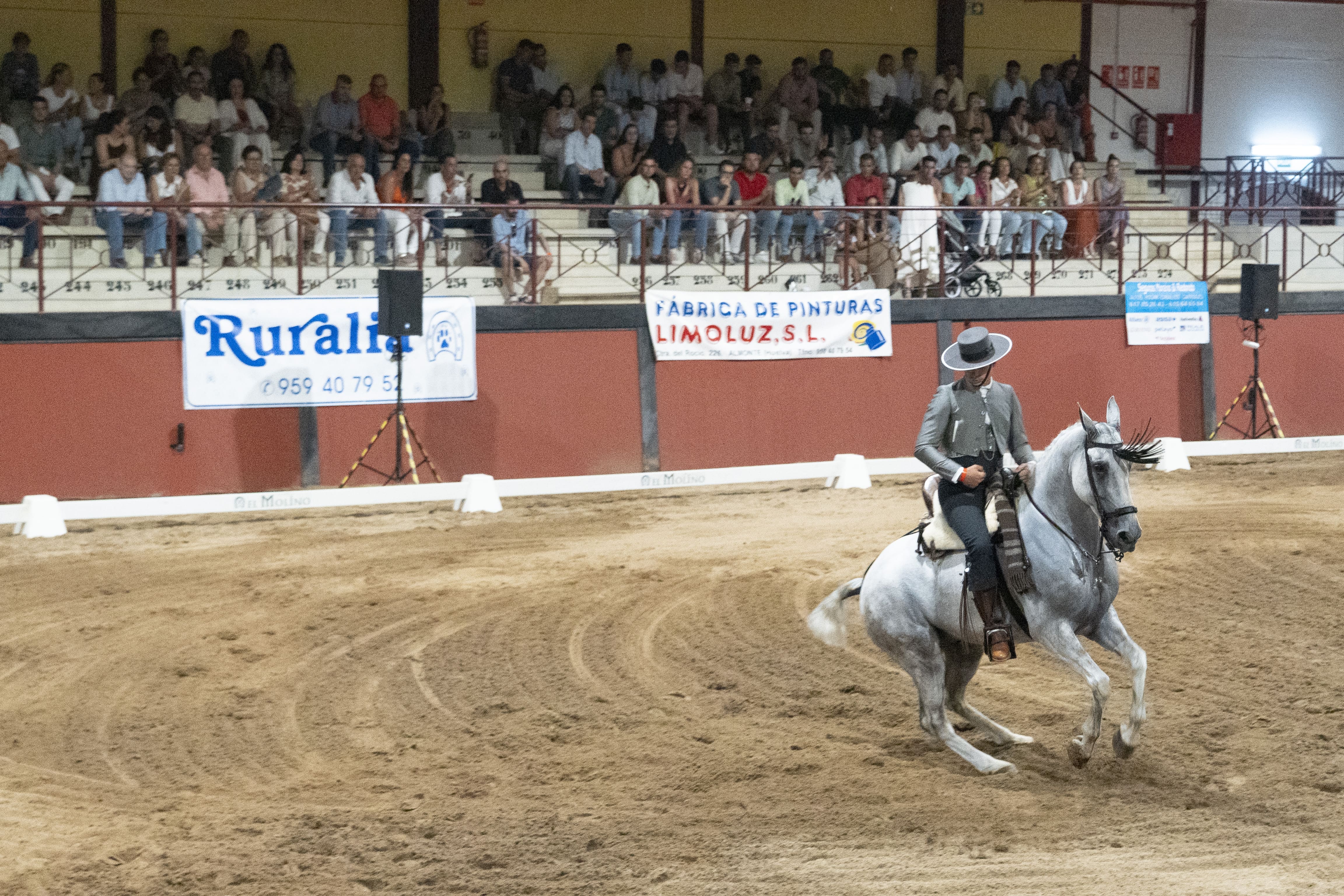 Concurso Doma Vaquera (1)