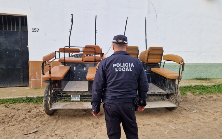 La matriculación de carruajes en El Rocío permite resolver con eficacia más de 9 incidentes registrados