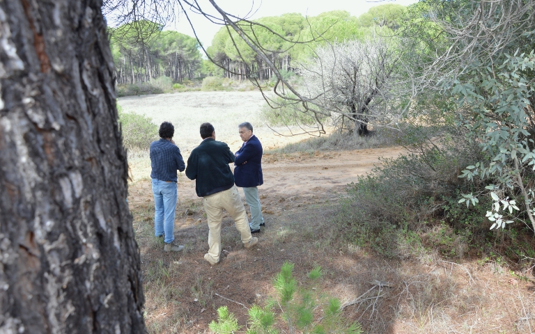 Almonte avanza en la restauración de lagunas litorales y mejora de la carretera norte de Matalascañas