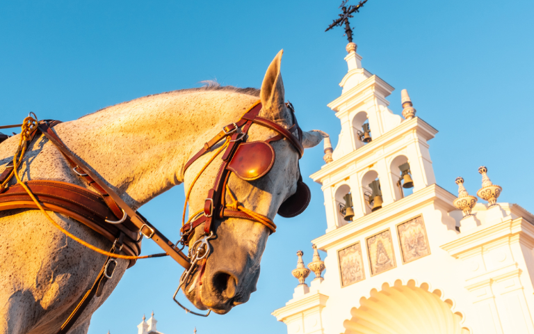 El Ayuntamiento de Almonte refuerza las medidas de Bienestar Animal para un Rocío marcado por las altas temperaturas