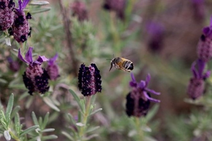 fotonoticia_20250520140933_690