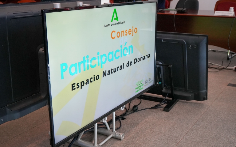 El Ayuntamiento de Almonte advierte que el deslinde de Doñana, aprobado por el MITECO, altera la naturaleza de las marismas