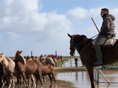 Ganaderos en Doñana (4)