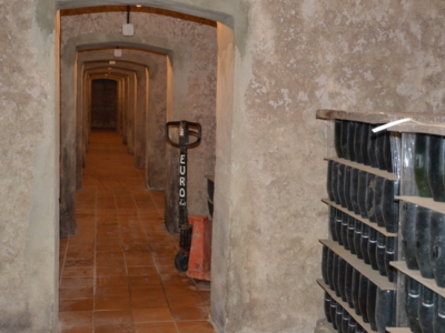 Bodega cava Raigal