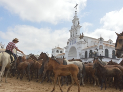 saca de las yeguas -2016 178