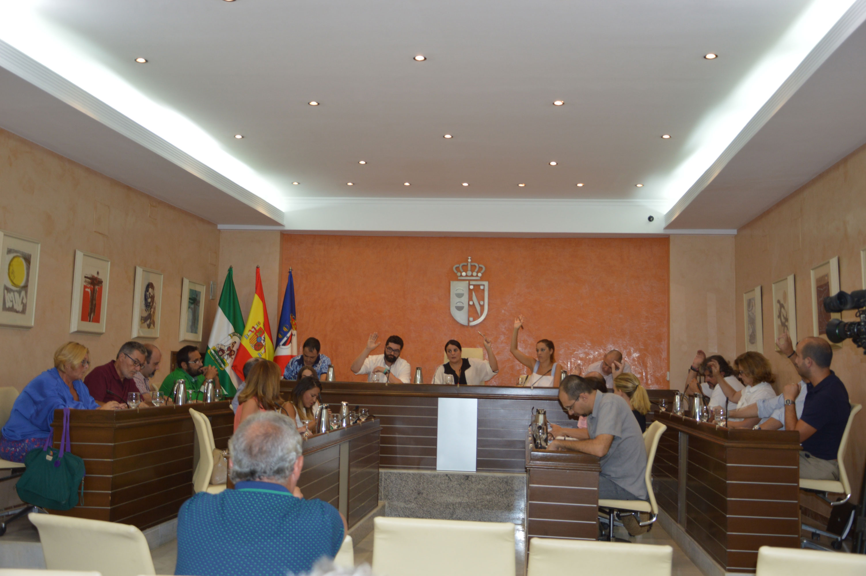 Pleno-Almonte-septiembre-2016-004