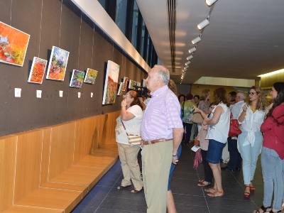 Inaug exposición ONUBA de Mónica Torre 020