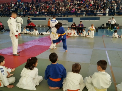 Judo en Almonte -3