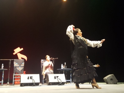 Festival Remate de Vendimia 4