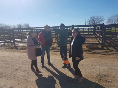 Comité Técnico Campeonato Doma Vaquera 3