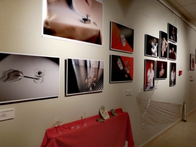 exposición temporal pinacoteca 7