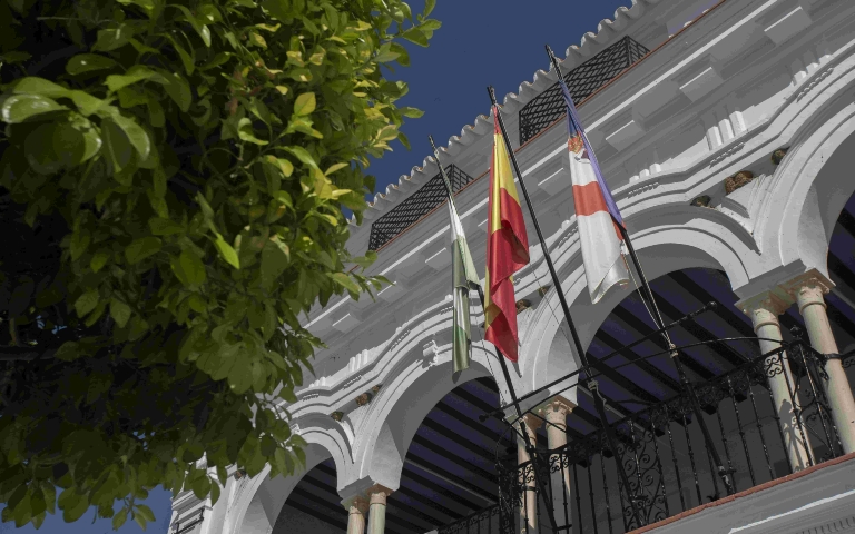 El Pleno de Almonte debate una actualización del reglamento municipal para regular a concejales no adscritos