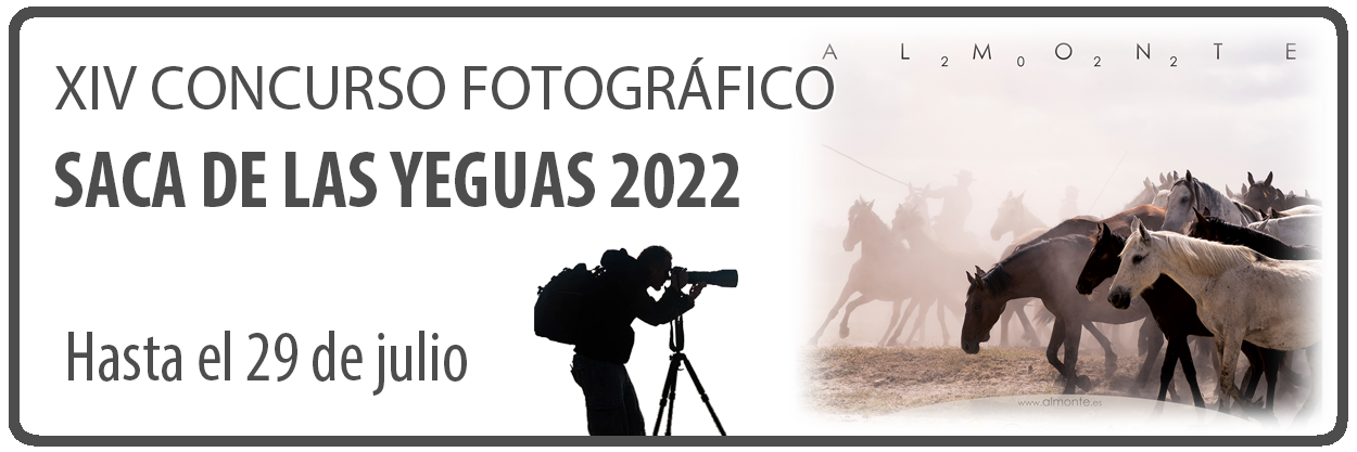 icono_concurso saca yeguas