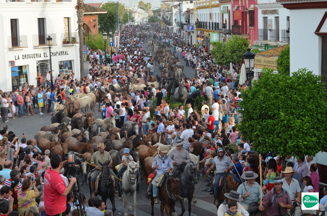 Saca-de-las-Yeguas-Almonte-2-copia