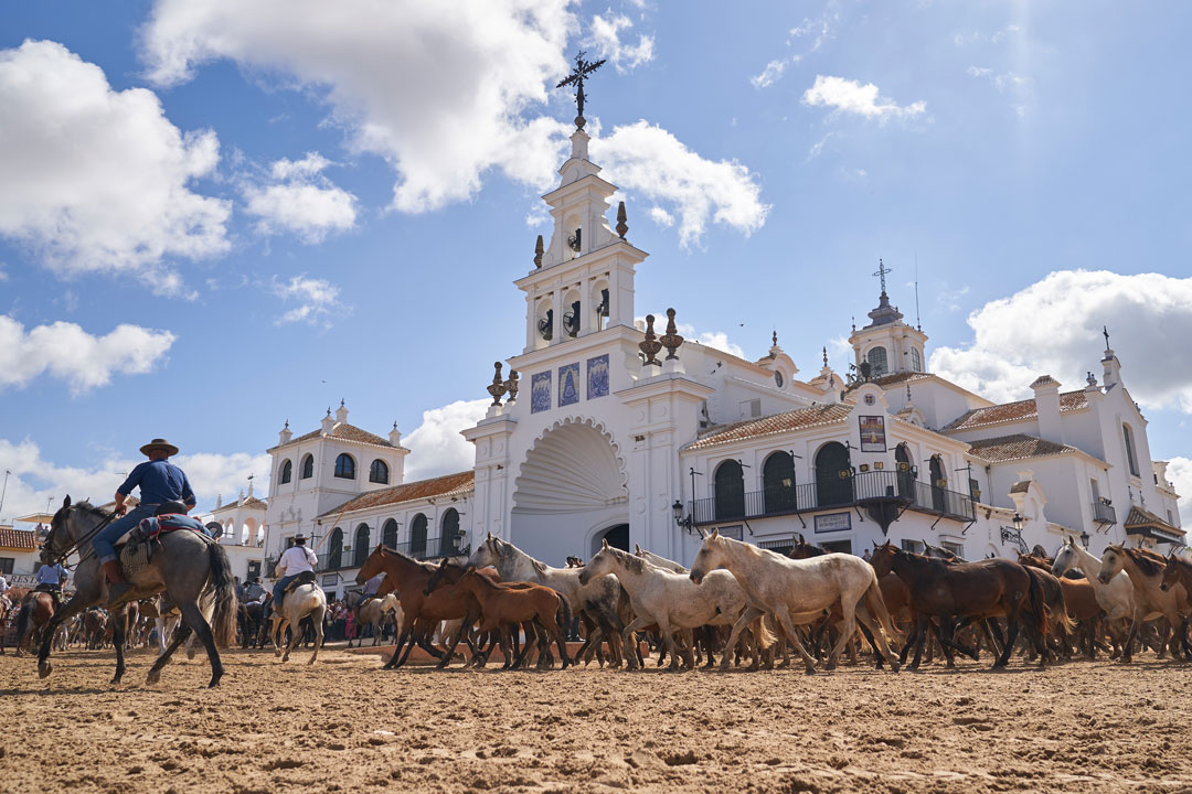 Saca-de-las-Yeguas-7